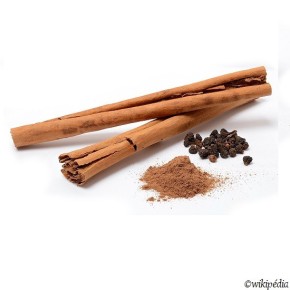 Cinnamon essential oil Organic